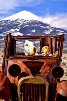 Old Car With Doll and Cows Head.           Great Basin NP. Nevada