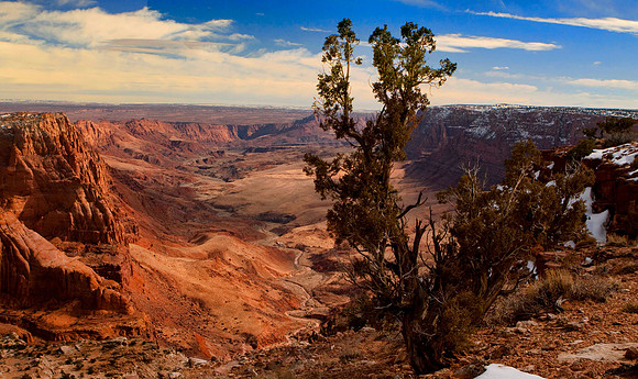 Bluffs Over the Piria Canyon Utah