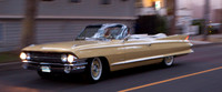 61 Cad  (Showboat)
