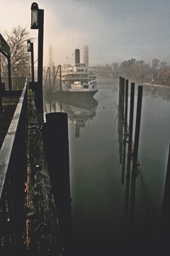 Misty Mornnig King