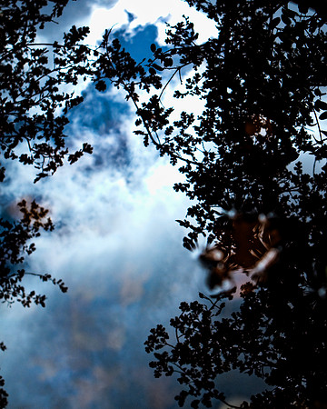 Reflections