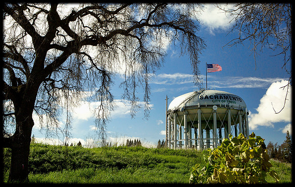 Last of the City of Trees, Freeport water tower