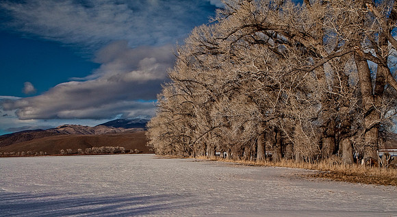 Snowy Field outside of Topaz Lake,Ca