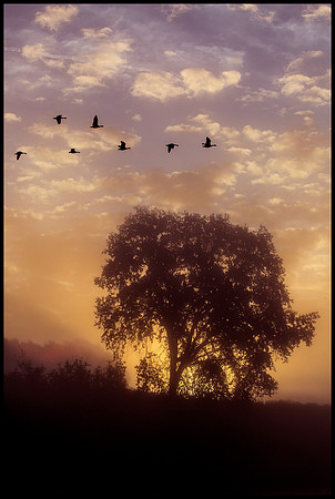 Sunrise at Ansil Hoffman Park