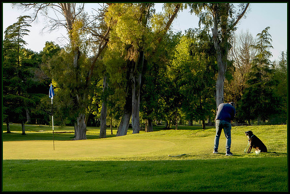 The 1st Green at Land Park Golf Course