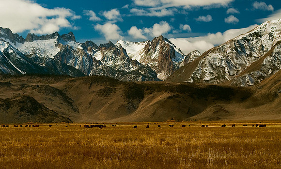 Eastern Sierras Near Bridgeport,Ca