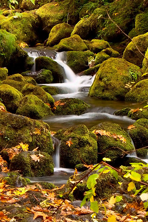 Off Hwy 136 North Umpqua River Oregon