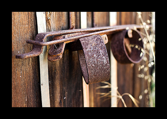 Found these hanging on the side of an old shed near Courtland,Ca