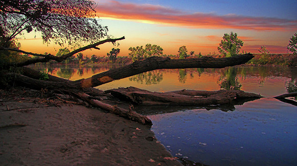 American River Sunset