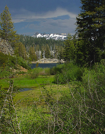 High Sierras in Summer