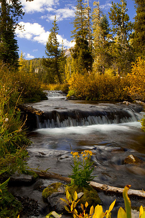 Creek in Lasen Nat. Pk, California