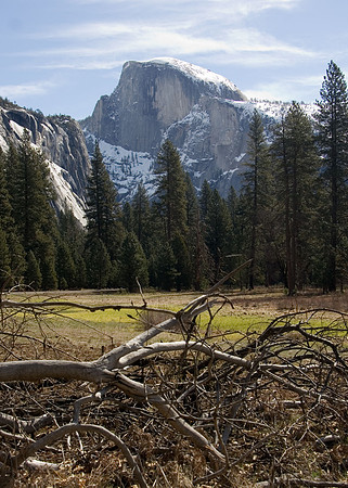 Half Dome        Yosemitie national Park, Ca