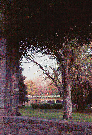 Land Park in the Morning